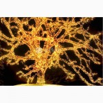 Праздничная иллюминация, световое оформление домов, елки, деревьев от ТМ Артфлорис