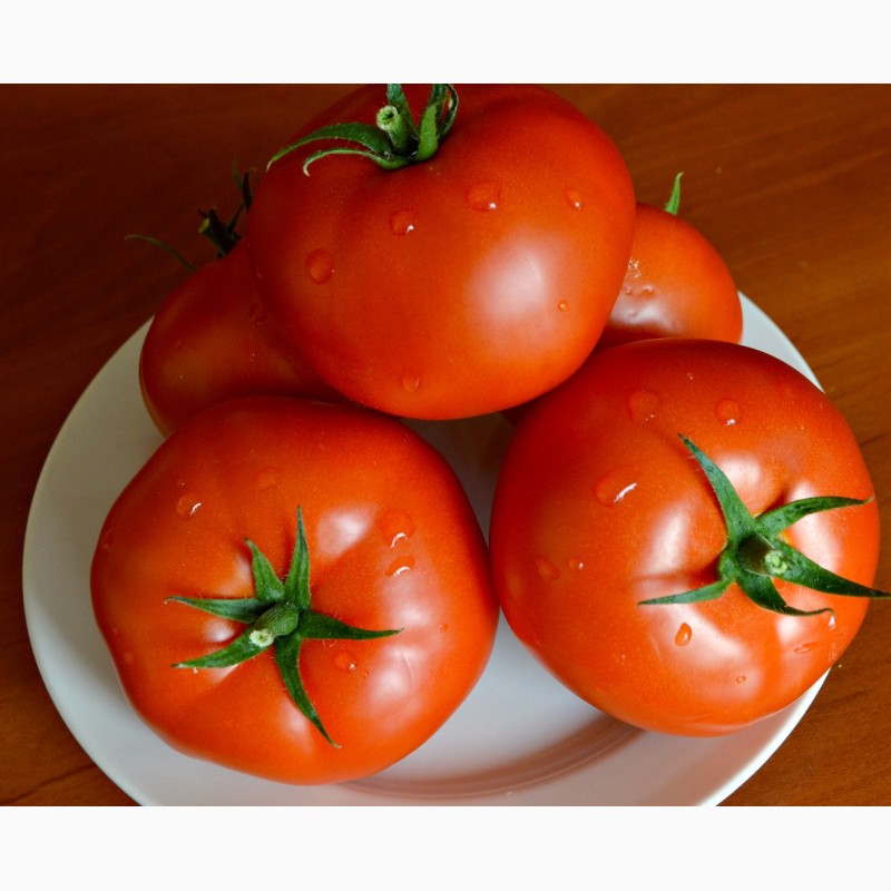 Фото 5. Продам помидоры, купить помидоры тепличные, помидоры свежие, тепличные помидоры