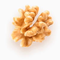 Продам чищеный грецкий орех все фракции | Selling peeled walnut of all fractions