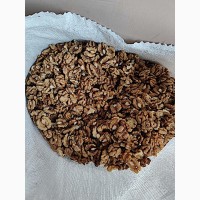 Продам чищеный грецкий орех все фракции | Selling peeled walnut of all fractions
