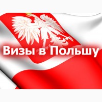 Візи та Робота в Польщі
