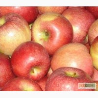 Яблоки со склада производителя