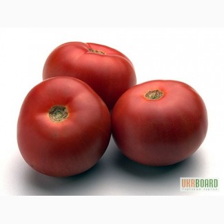 МЕЛКИЙ ОПТ сдам (некондиционный) помидор на томат, аджику и др.