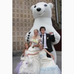 Закажите ростовую куклу Белый медведь на корпоративный праздник
