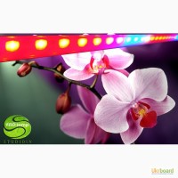 Светильник для орхидей