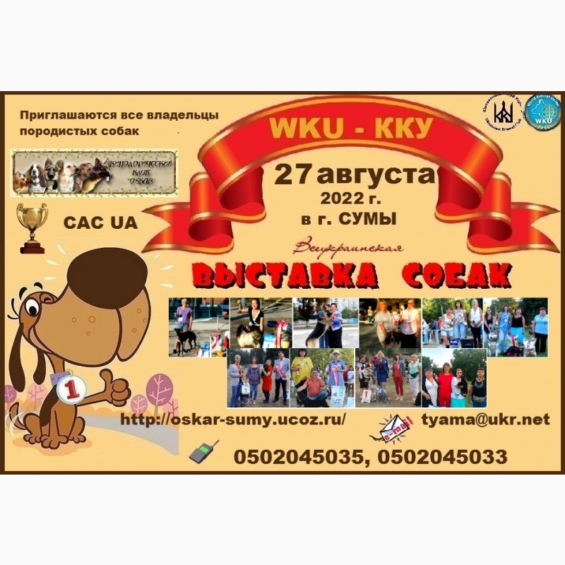 Фото 1/1. Всеукраинская ВЫСТАВКА собак всех пород 2022 - приглашаем всех