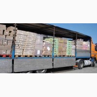 Международные автомобильные перевозки сборных грузов из Европы и в Европу