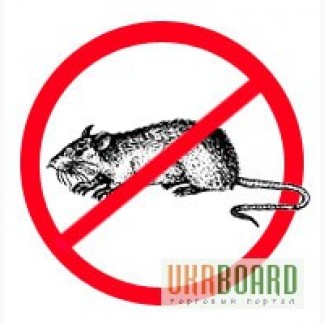 Уничтожение крыс,мышей-- Дератизация