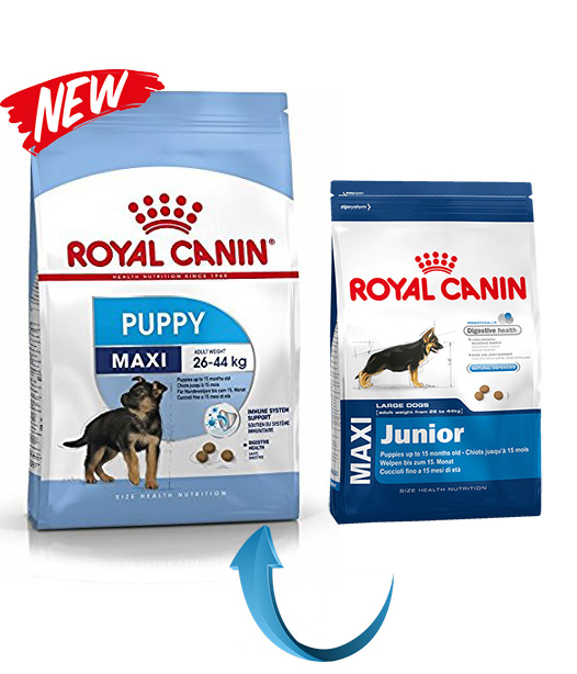 Maxi junior. Royal Canin Junior Maxi. Royal Canin Puppy Maxi (в соусе). Сухой корм для собак Royal Canin Maxi Adult 5+ 15кг. Royal Canin Junior для крупных пород 17 кг.