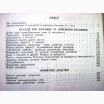 Балади Кохання та дошлюбні взаємини Родинно-побутові стосунки 1987 УРСР Українська народна