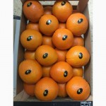 Продаем апельсин из Испании