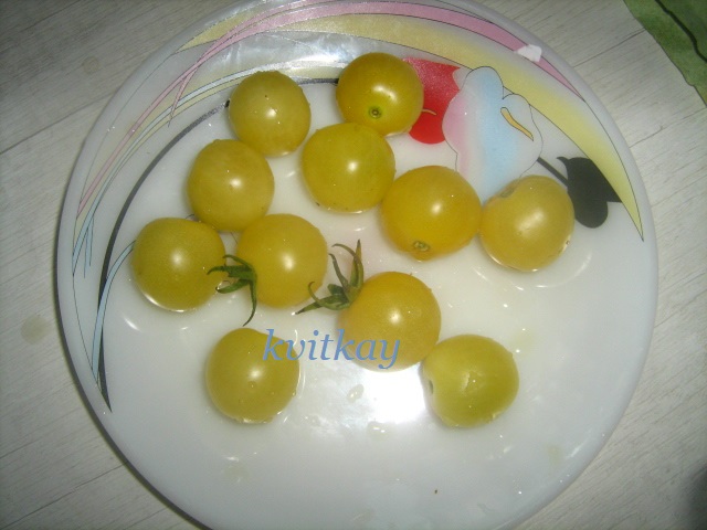 Фото 10. Семена томатов комнатных. 4 сорта