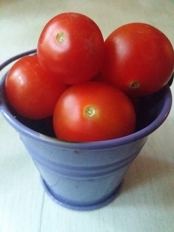 Фото 12. Семена томатов комнатных. 4 сорта