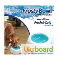 Фото 2. Охлаждающая миска для домашних животных Frosty Bowl