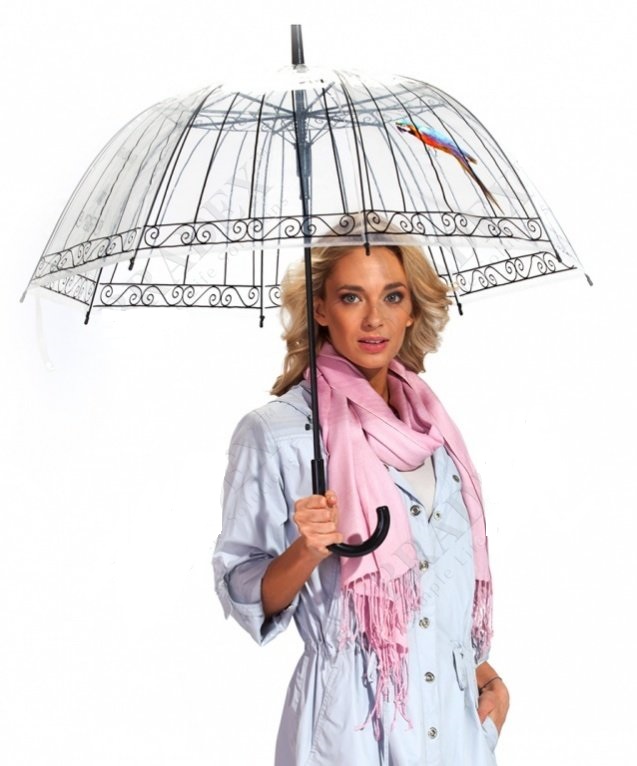 Фото 3. Зонт прозрачный, купольный (зонт-трость)