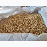 Продам насіння сої не ГМО МЕНТОР