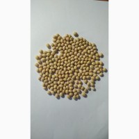 Насіння сої Канзас, Онікс, Аполло ГМО соя, соя під раундап