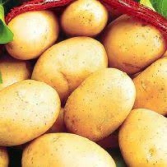 Картофель продовольственный оптом из Беларуси