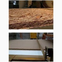 Стрічки конвеєрні та ремені для виробництва дерев#039;яних панелей