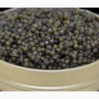 Caviar caspian Продам Настоящую чёрную икру осетра