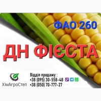Насіння кукурудзи - ДН ФИЕСТА( ФАО 260) від ТОВ ХімАгроСтеп
