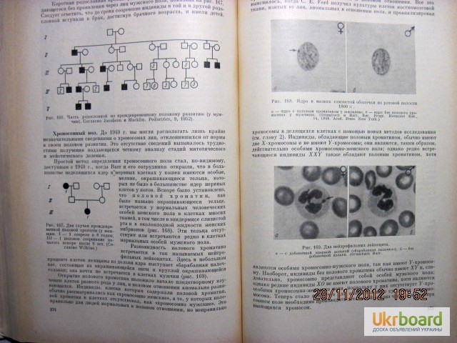 Фото 11. Штерн Основы генетики человека 1965г, 1-е изд Ардашникова Эфроимсона Наследственность Ген