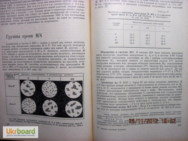 Фото 13. Штерн Основы генетики человека 1965г, 1-е изд Ардашникова Эфроимсона Наследственность Ген