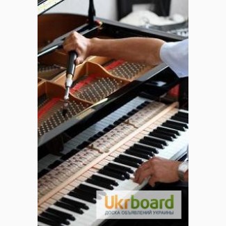 Настройка, ремонт, реставрация роялей и пианино