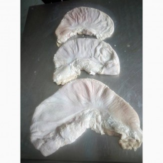 ООO« Амтек Трейд» предлагает замороженные свиные желудки(очищеные)
