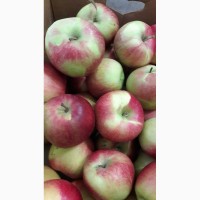 Продам яблоки, сорт Джонаголд, Флорина, Семеренко, урожая 2018 года, с холодильника
