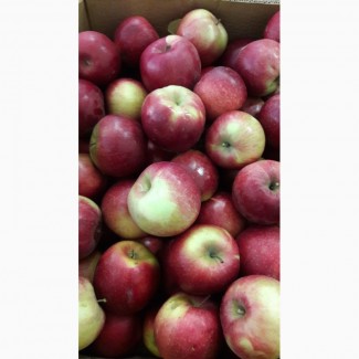 Продам яблоки, сорт Джонаголд, Флорина, Семеренко, урожая 2018 года, с холодильника