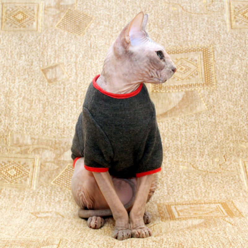 Фото 2. Продам кофту с рукавом для кошек, сфинксов GUI Style Pets