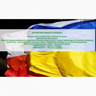 Візова підтримка та працевлаштування Чехія Литва Польща Унорщина