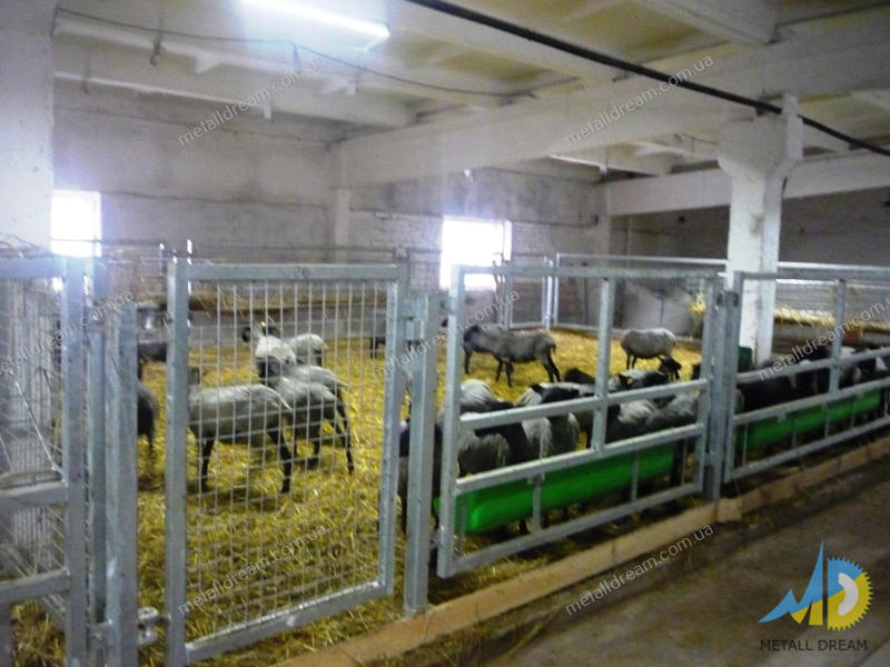 Фото 4. Стійлове обладнання для утримання кіз та овець