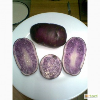 Продам картофель с синей и фиолетовой мякотью