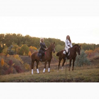 Конные прогулки, обучение верховой езде, фотосессии с лошадьми