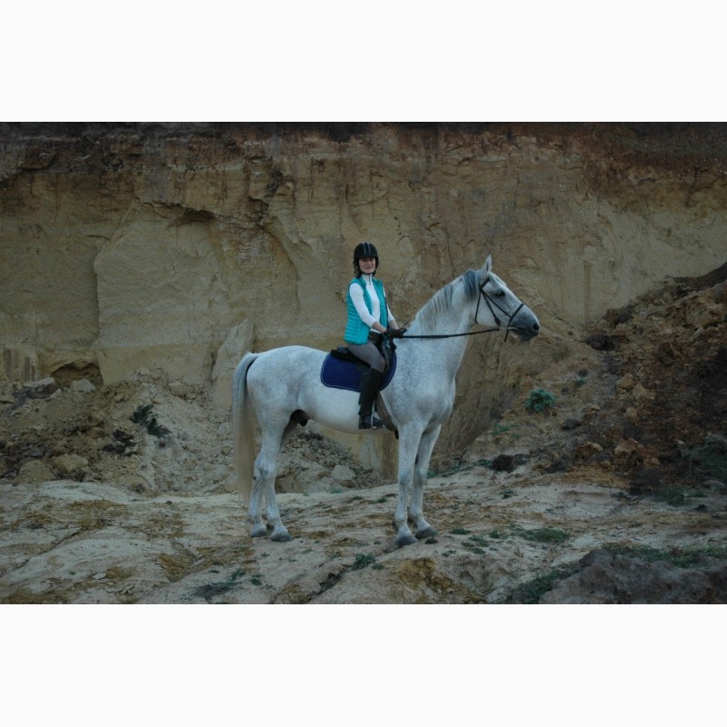 Фото 4. Конные прогулки, обучение верховой езде, фотосессии с лошадьми