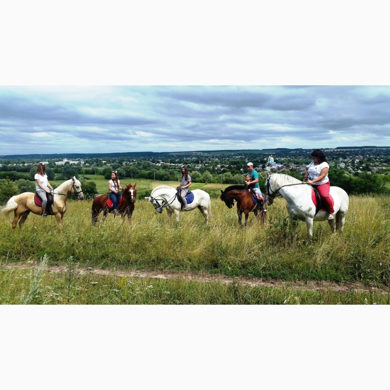 Фото 5. Конные прогулки, обучение верховой езде, фотосессии с лошадьми