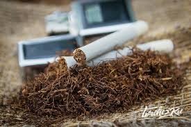 Фото 5. Тютюн лапшой 0.5-0.8 Берли Вирджиния Махорка-Європейського качєства!низька ціна