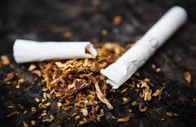 Фото 7. Тютюн лапшой 0.5-0.8 Берли Вирджиния Махорка-Європейського качєства!низька ціна