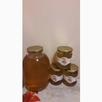 Продам липовый мед