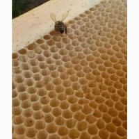 Продам суш для бджіл