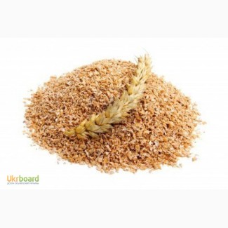 Мука пшеничная кормовая борошно кормове, висівки житні пшеничні