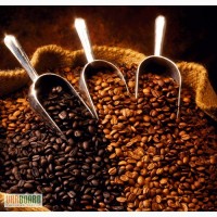 Кофе в зернах 100% Арабика (Камерун)