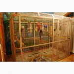 Клетки-вольеры для попугаев, канарейки и других птиц