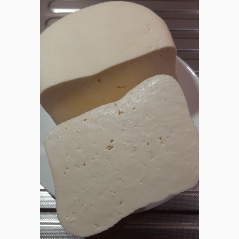 Фото 4. Фета – домашний сыр в оливковом масле