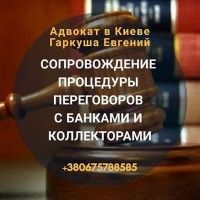 Адвокат. Юрист по кредитам в Киеве