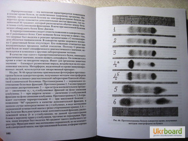 Фото 6. Клиническая биохимия.Горячковский 1998 Биохимическая лаборатория, техника анализ авторские