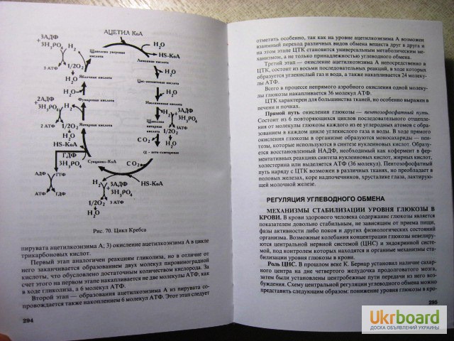 Фото 8. Клиническая биохимия.Горячковский 1998 Биохимическая лаборатория, техника анализ авторские
