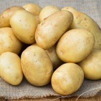 Продам семенной картофель (Таисия, Мелоди)